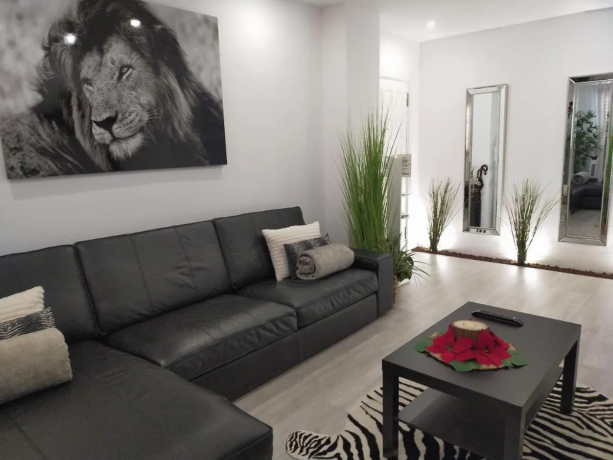 Apartamento Plaza San Marcos Icod De Los Vinos