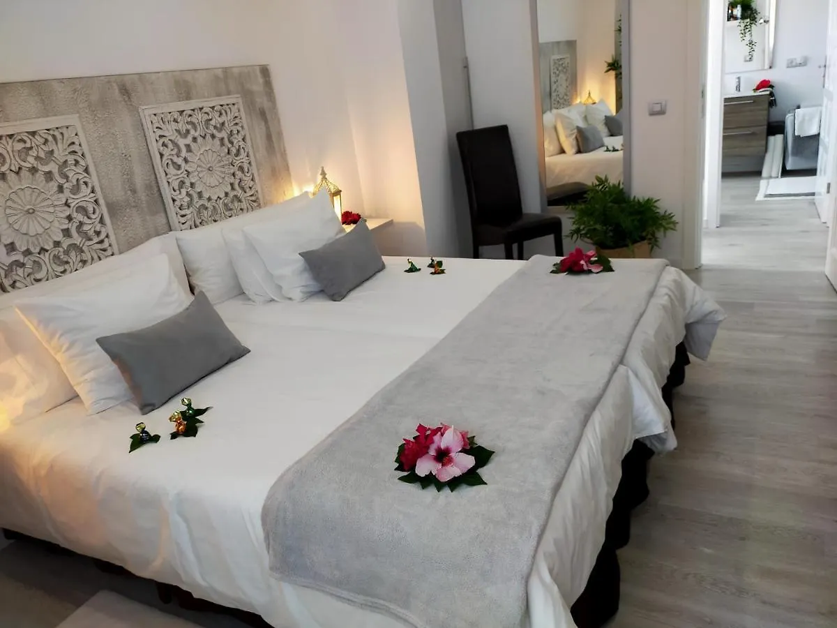 Apartamento Plaza San Marcos Icod De Los Vinos