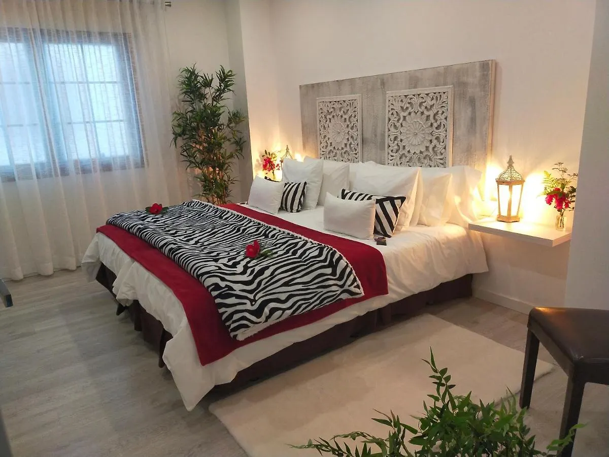 Apartamento Plaza San Marcos Icod De Los Vinos