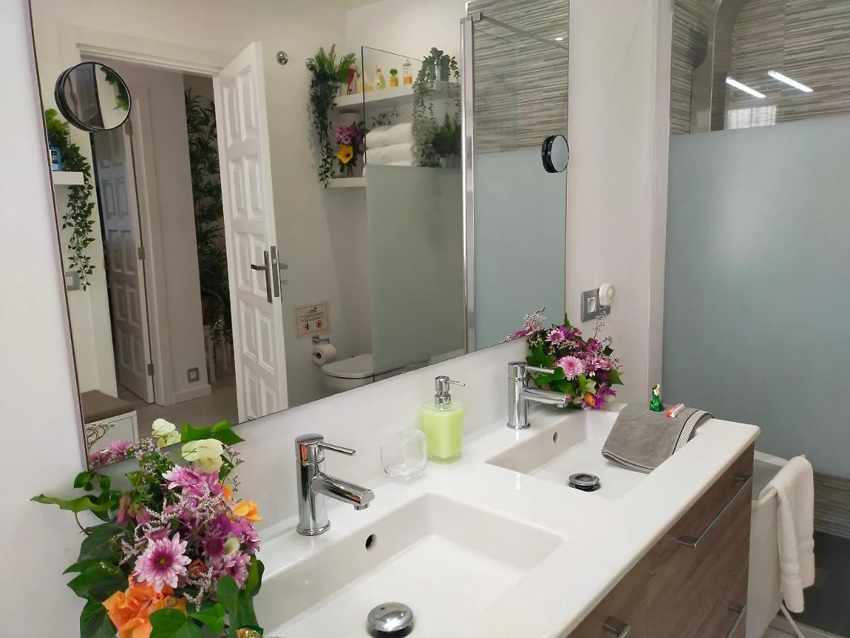 Apartamento Plaza San Marcos Icod De Los Vinos España