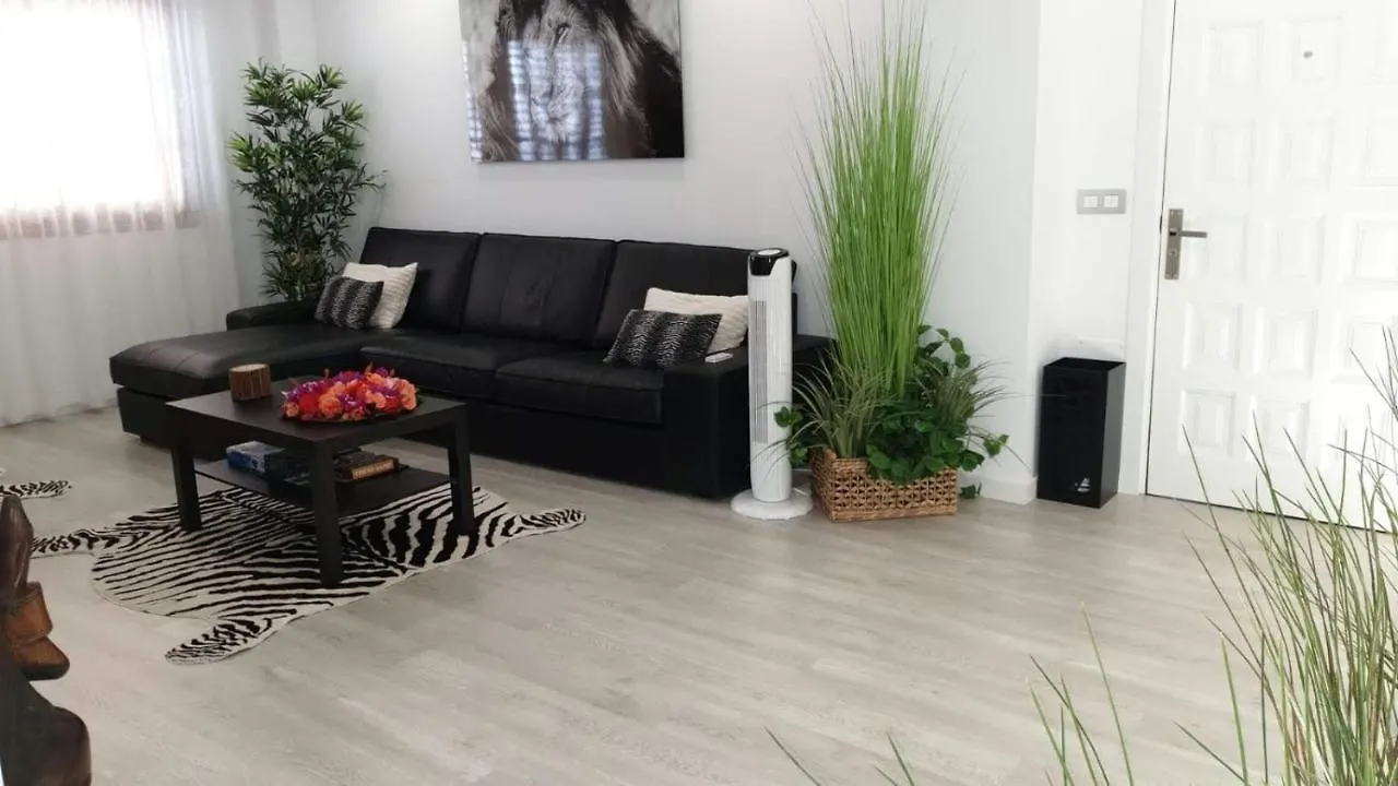 Apartamento Plaza San Marcos Icod De Los Vinos España
